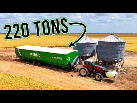 It's Massive! | Final Harvest Prep | Vlog 428