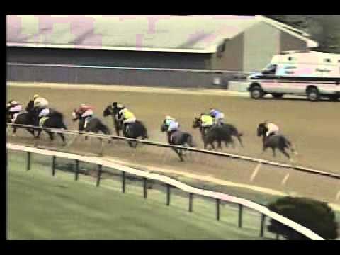 Pimlico 04/03/14 race 9