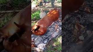 Download lagu Basta wa mi sud-an sa probensiya lechon ang tirada😋 mp3