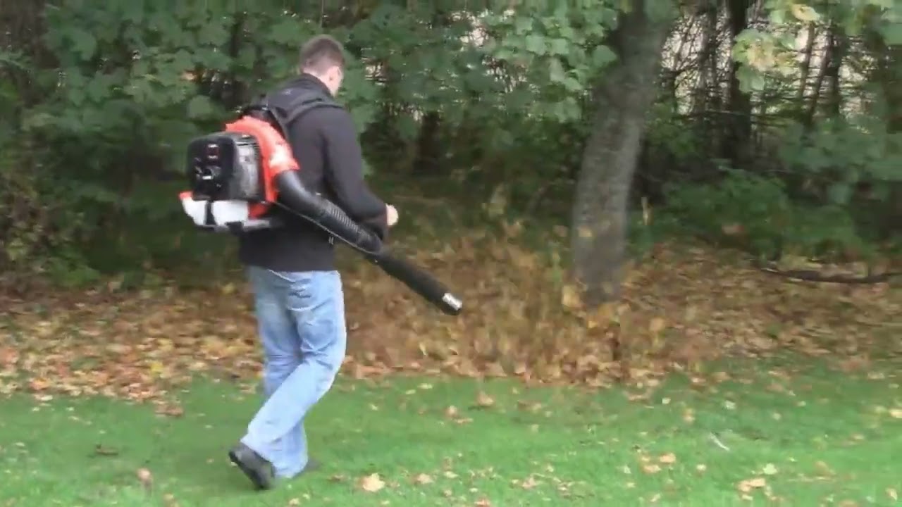 Souffleur à dos Echo PB770