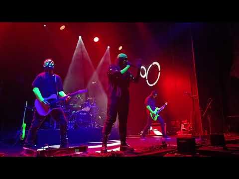 Transgresja - Jak wybaczyć sobie mam - Fuck Off Festival (FoF) Live 14.11.2025