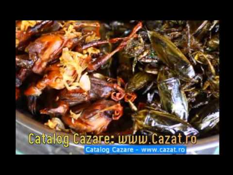 Cazare Cliciova, Timis - Cazat.ro