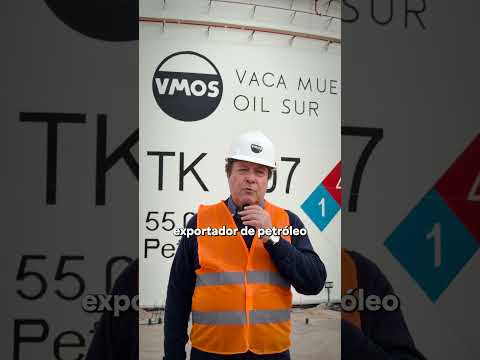 VMOS: Estamos a meses de hacer historia