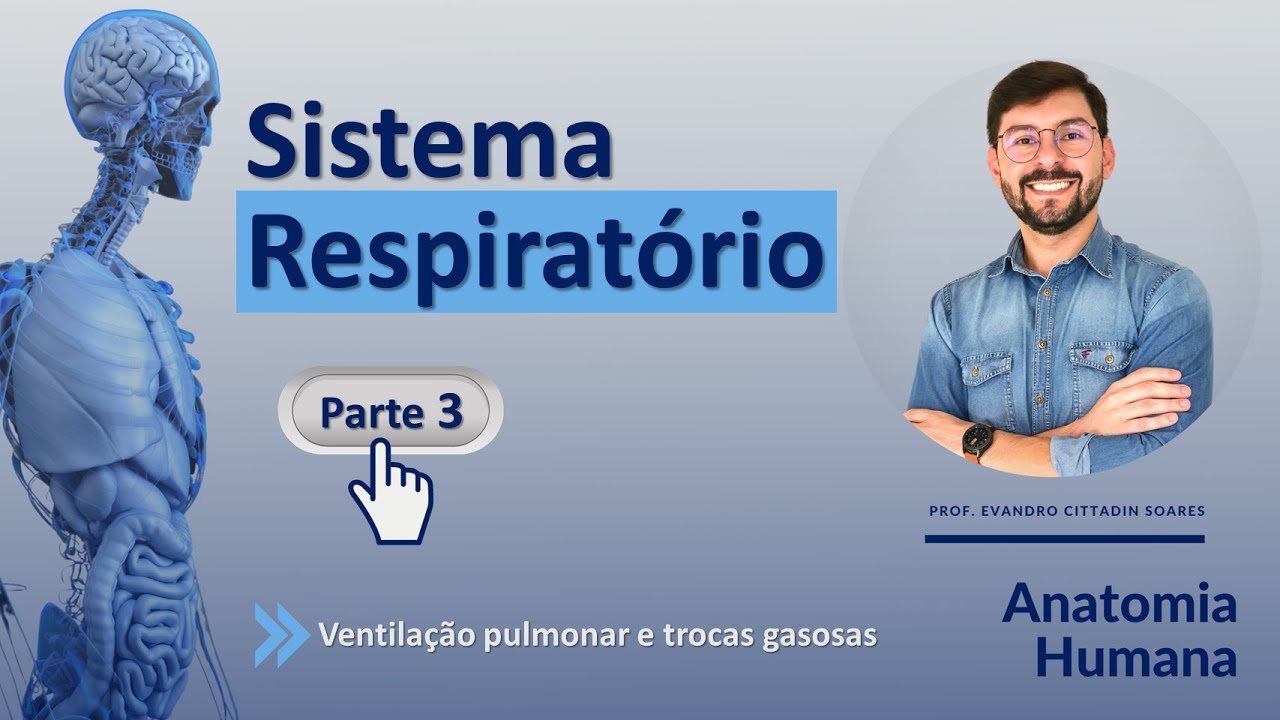 SISTEMA RESPIRATÓRIO - PARTE 3 (FINAL) - VENTILAÇÃO PULMONAR E TROCAS GASOSAS