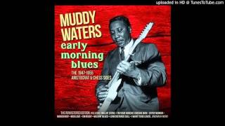 Muddy Waters - I'm a Natural Born Lover