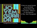 O Som Da Jovem Guarda Anos 60 70 80 Pop Das Rádios De 02 Hs Dolby 5 1 51 Nacional LP Rip