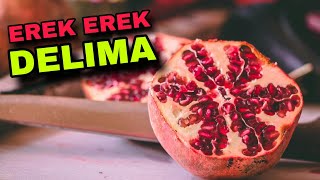 Download lagu EREK EREK DELIMA 2D 3D 4D & ARTI MIMPI BUAH DELIMA mp3 Download lagu EREK EREK DELIMA 2D 3D 4D & ARTI MIMPI BUAH DELIMA mp3