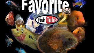 What&#39;s your FAVORTIE CICHLID?  Part 2