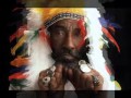 Lee "Scratch" Perry, The Upsetters-Vamp A Dub