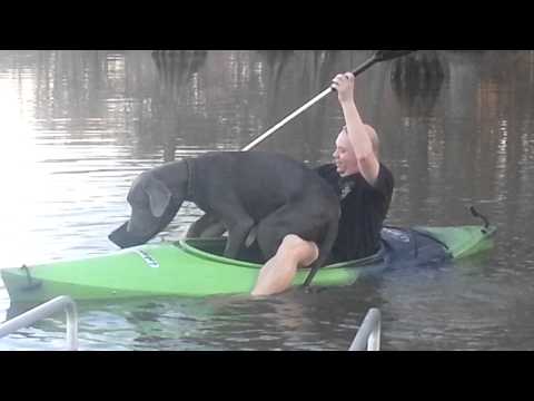 Big dog little kayak