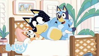Otel 🏨💙 | Tam bölüm | Bluey Türkçe Resmi Kanal