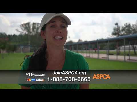 Aspca Ispot Tv