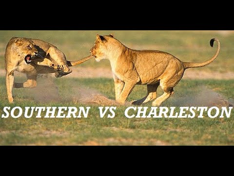 Lions ¦ The Fatal Clash of the Southern & Charleston Pride (Sabi Sand Nature Reserve)