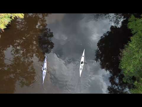 Kayak in the Francis Marion National Forest