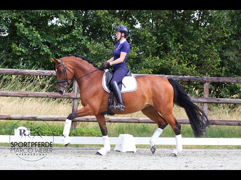 Stute von Secret *2018