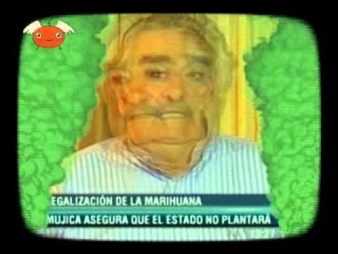 BENDITA TV 262 - PORRO PEPE REMIX