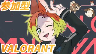 【VALORANT / コンペ参加型】飲酒　シルバー以下のみ参加可