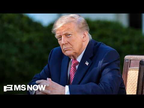 'Conspiracy theorist-in-chief': Trump files frivolous lawsuits to cast doubt on the election, again