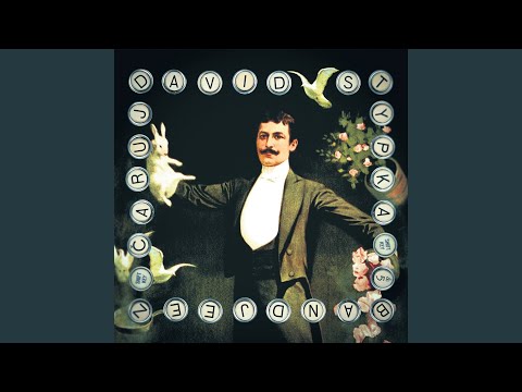 Skála - David Stypka