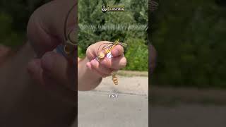 Біруші 3M Combat Arms (R)