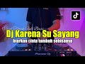DJ KARENA SU SAYANG VIRAL TIKTOK - BIARKAN CINTA TUMBUH SEBISANYA