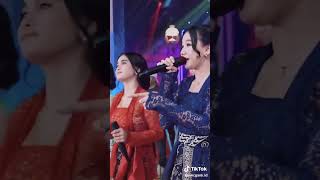 Download lagu SALEHO - ADELLA GIRLS 🥳😍❤️ #dangdut #adella #dangdutkoplo mp3