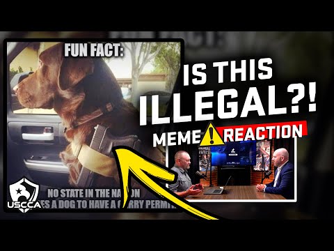 YouTube video about: Can a dog carry a gun in california?