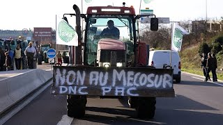 Bruselas cede ante París y Roma para salvar el acuerdo con el Mercosur