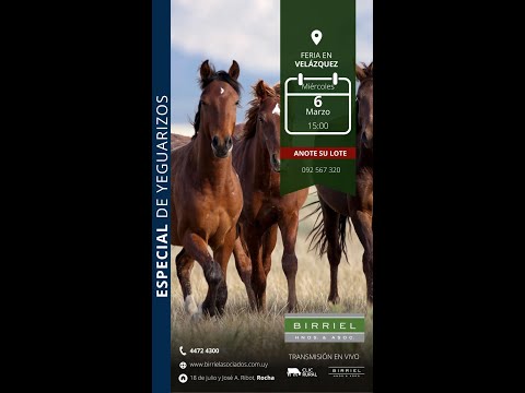 06/03/2024 Birriel Hnos y Asociados / Sociedad Fomento de Velázquez - Rocha