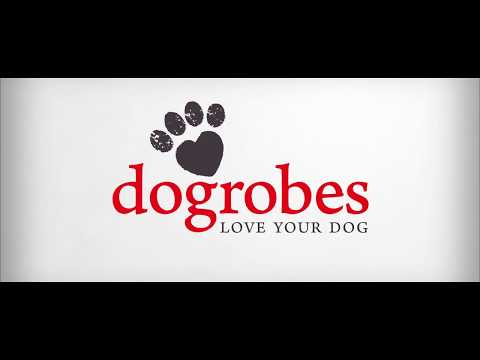 download lagu mp3 mp4 Dog Swim Snood, download lagu Dog Swim Snood gratis, unduh video klip Dog Swim Snood