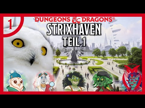 Dungeons & Dragons: Strixhaven - Pen and Paper-Kampagne Teil 1