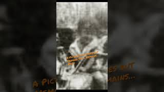 Download lagu Monokrom ~ Tulus #70s picture may fades but memory still remain #shorts mp3