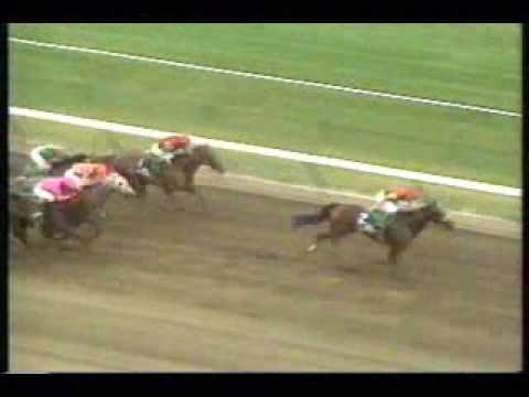 1993 Molly Pitcher Handicap - Wilderness Song