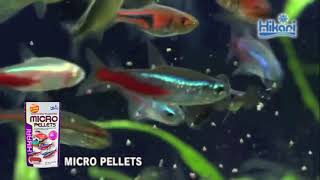 HIKARI Krmivo Micro Pellets 45 g