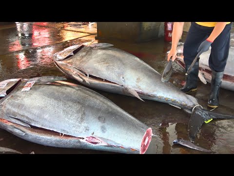 How to Cut 375kg Giant Bluefin Tuna with the sharpest Knife - Taiwanese street food