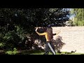 Bailarina (Charlie Haden, Jan Garbarek, Egberto Gismonti) improsentidanzar