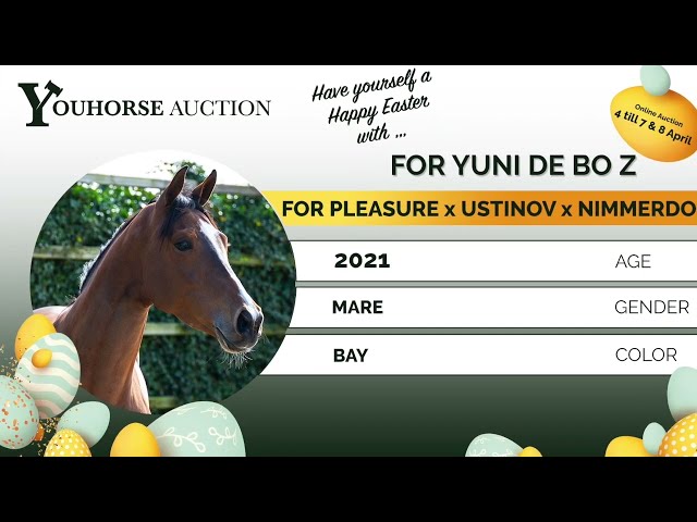 For Yuni de Bo Z under the saddle