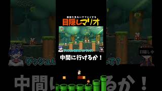 中間まで行けるのか…？【目隠しマリオ】