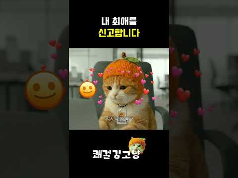 내 최애를 신고합니다 !