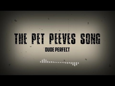 Pet Peeves Stereotypes - Music by Dude Perfect (Lyrics)