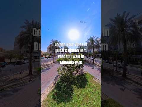 Golden Hour Vibes in Dubai’s Hidden Gem | Peaceful Walk in Muteena Park | #dubai #uae #visitdubai
