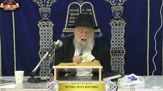 האם אברהם אבינו עשה פדיון הבן לישמעאל? ¤ הרב מרדכי דהן ¤ י"ד חשון תשפ"ו (5.11.2025) (מוסדות תורת דוד) - התמונה מוצגת ישירות מתוך אתר האינטרנט יוטיוב. זכויות היוצרים בתמונה שייכות ליוצרה. קישור קרדיט למקור התוכן נמצא בתוך דף הסרטון