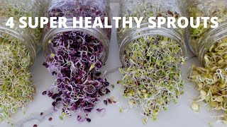 How To Grow Sprouts at Home | 4 Super Healthy Sprouts