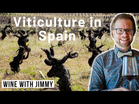 Viticulture in Spain for WSET Level 4 (Diploma)