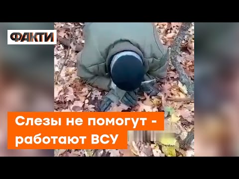 💥 Российского солдата эпично ВЗЯЛИ В ПЛЕН — этот диалог СТАНЕТ МЭМОМ