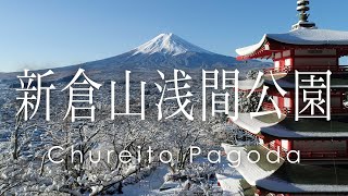 絶景 空撮 新倉山浅間公園 雪化粧した忠霊塔と富士山 - Mount Fuji, Chureito Pagoda in Winter