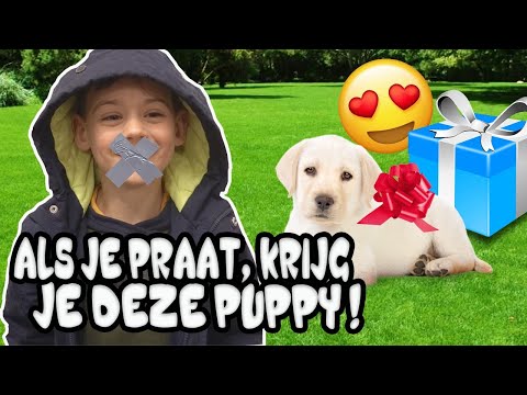 SEM MOET ZIJN MOND DE HELE DAG DICHT HOUDEN ! - De Bakkertjes #524