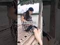 Detik Detik Ibu Hamil Melahirkan Sendirian Di Gubuk Tua Part 2 Shorts