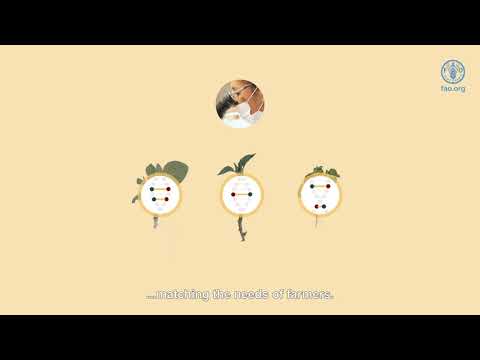 What is the BSF | Benefit-sharing Fund | International Treaty on Plant Genetic Resources for Food and Agriculture | FAO