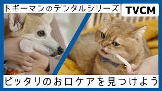 【????CM】デンタルケアシリーズ「おもちゃとおやつで歯を磨こう」編